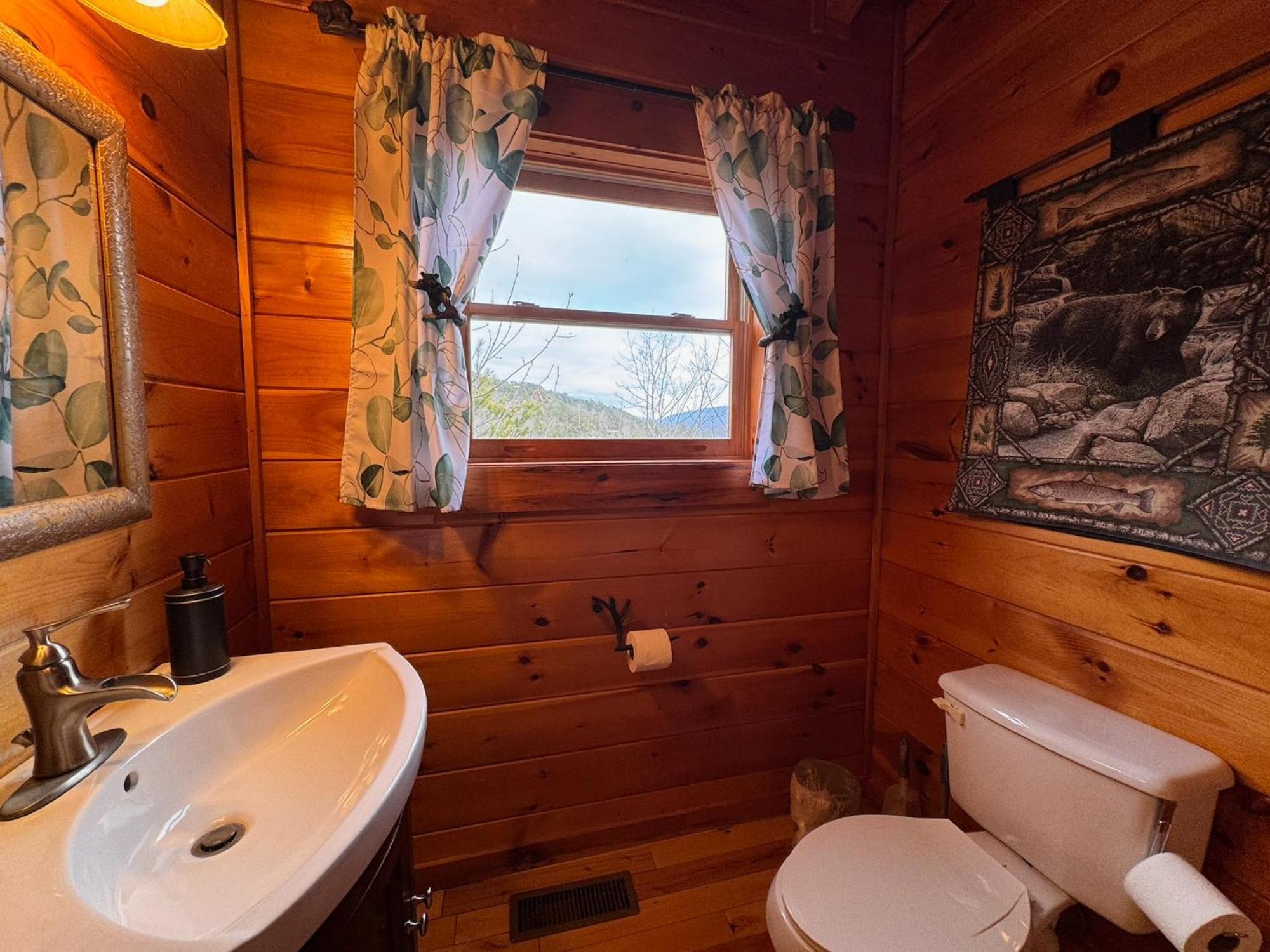 Smoky Paws - Exceptional Cabin, Stunning Mountain Views, Hot Tub, Tranquil, Gigabit Internet, Free L2 Ev 鸽子谷 外观 照片